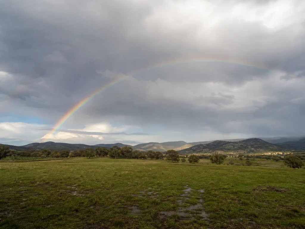 A bright rainbow appearing across a cloudy sky after rain.