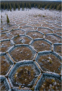 Illustration of frozen ground sometimes form circles and polygons for the question "Why does frozen ground sometimes form circles and polygons?"