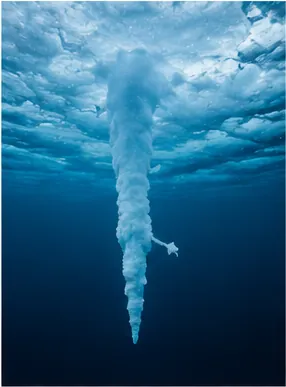 Illustration of an icicle grow downward under sea ice for the question "How can an icicle grow downward under sea ice?"
